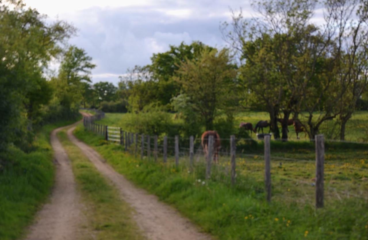 Gite Au Haras Les Aubiers Exterior photo