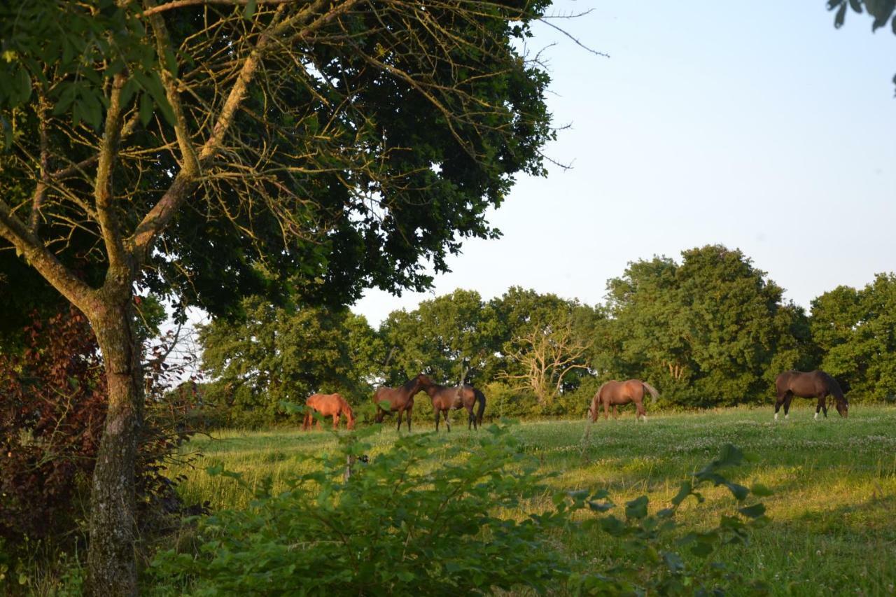 Gite Au Haras Les Aubiers Exterior photo